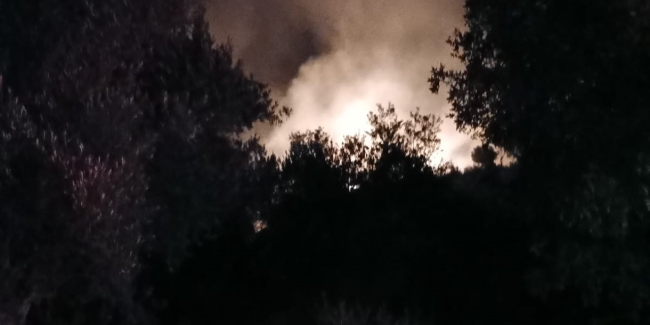 Antalya'da orman yangını... 7 dekarlık alan zarar gördü