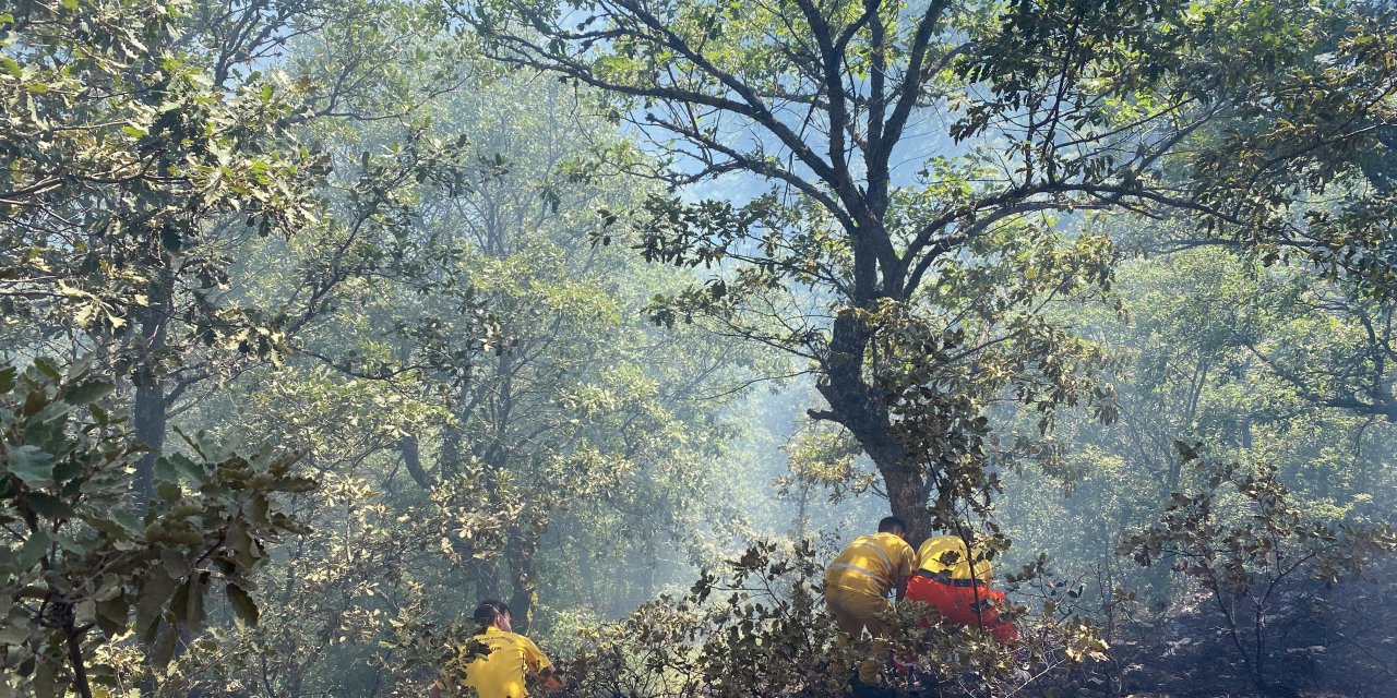 Bolu'da ormanda örtü yangını büyümeden söndürüldü