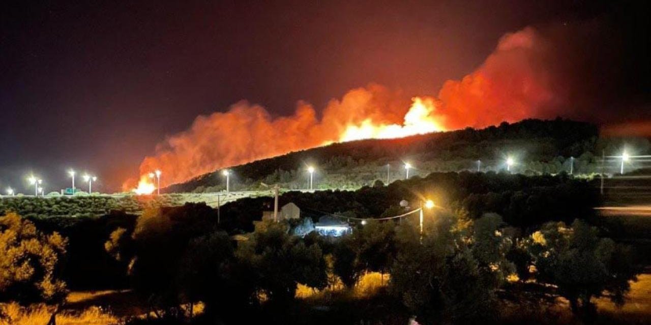 İzmir'deki orman yangınıyla ilgili 4 gözaltı