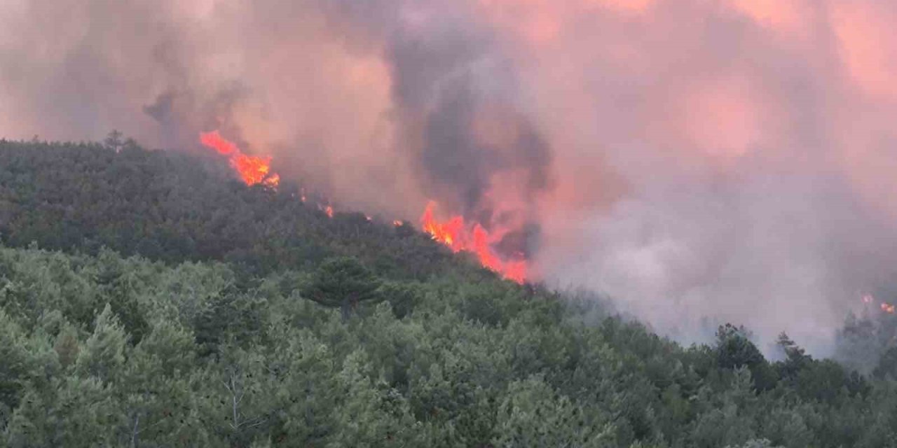 Uşak’ta ormanlık alandaki çıkan yangına müdahale devam ediyor