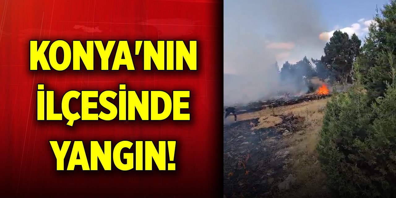 Konya'nın ilçesinde yangın!