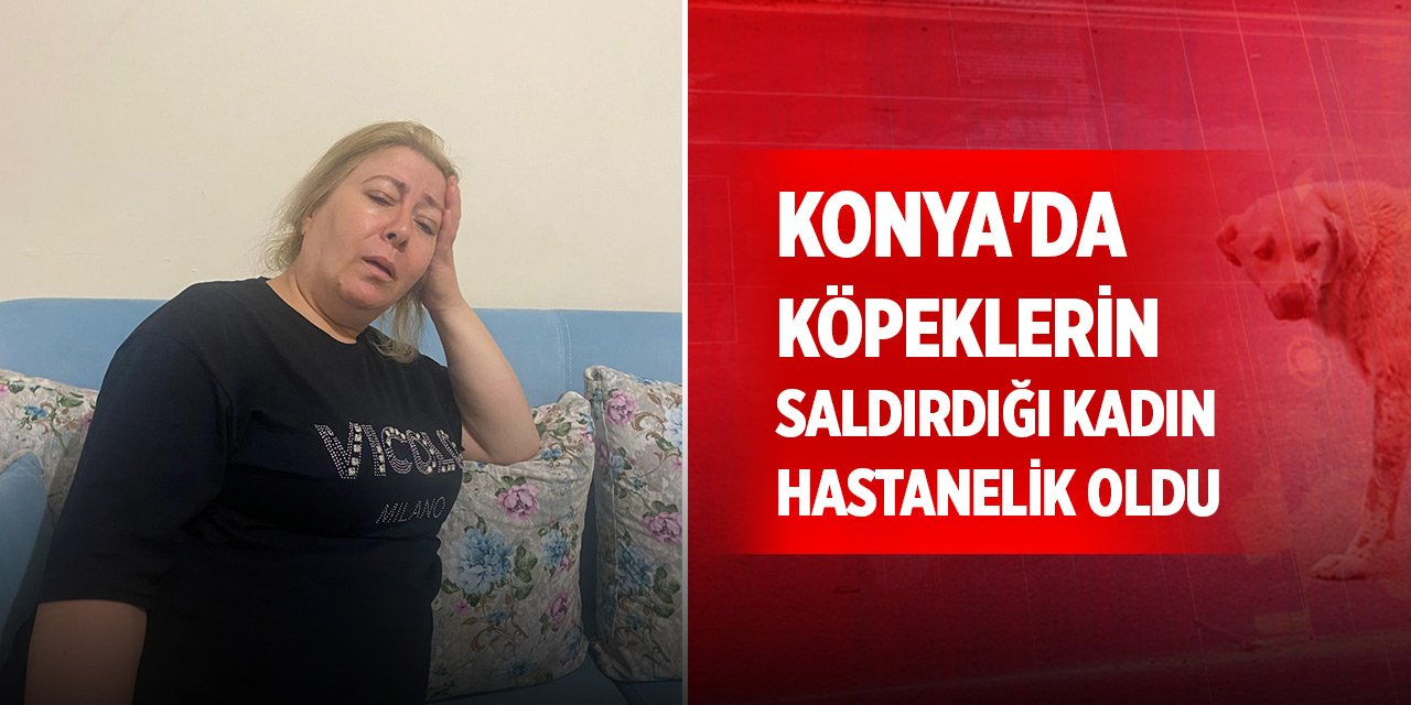 Konya'da sokak köpeklerinin saldırdığı kadın hastanelik oldu