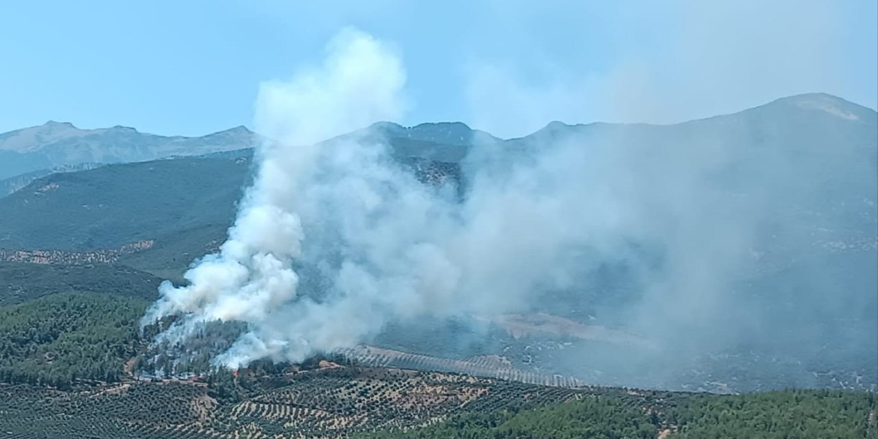 Hatay’da orman yangını