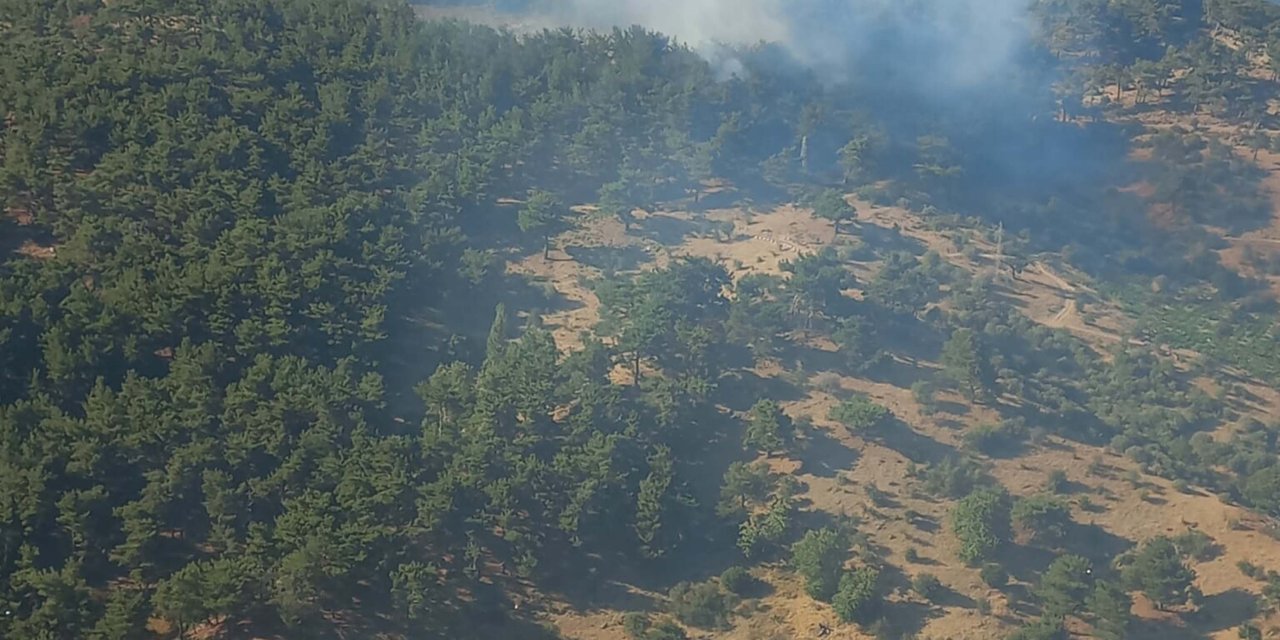 İzmir’de orman yangını