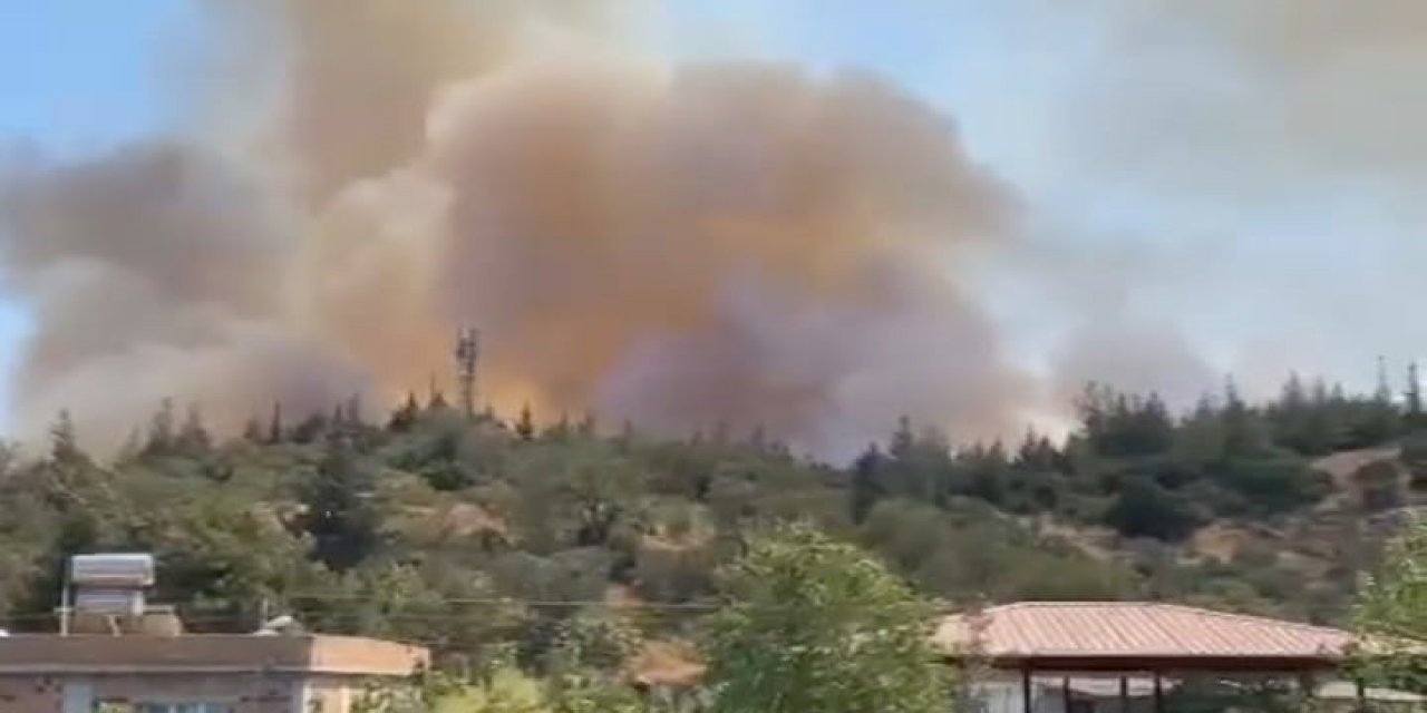 Gaziantep'teki orman yangını 1 saatte söndürüldü