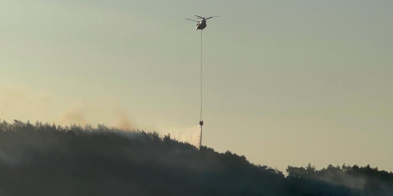 Manisa'nın Kırkağaç ilçesinde orman yangını