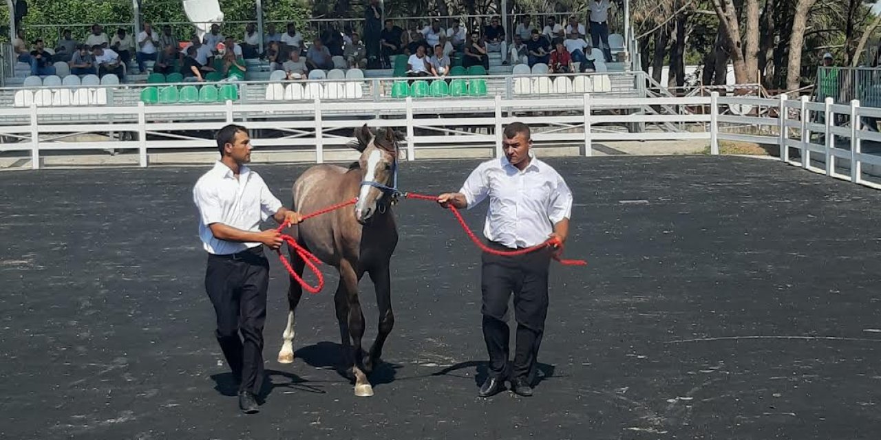 Bu taylar ev fiyatına alıcı buldu