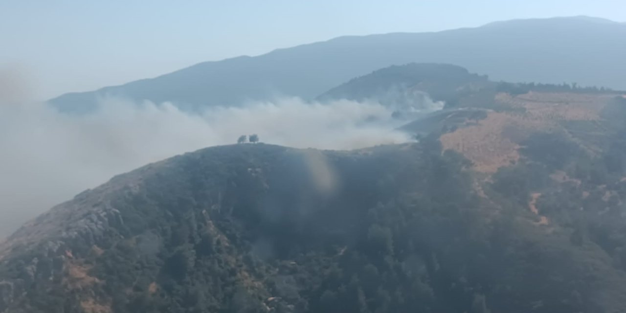 Hatay’da orman yangını