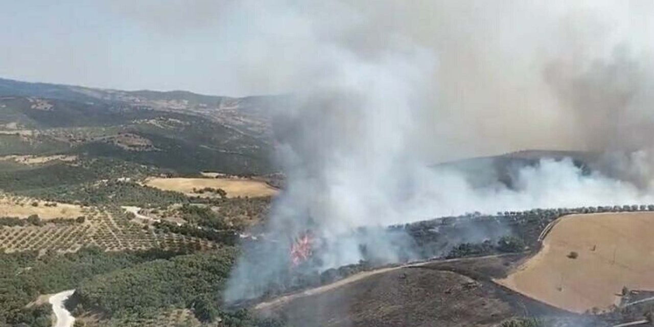 Manisa'da orman yangını