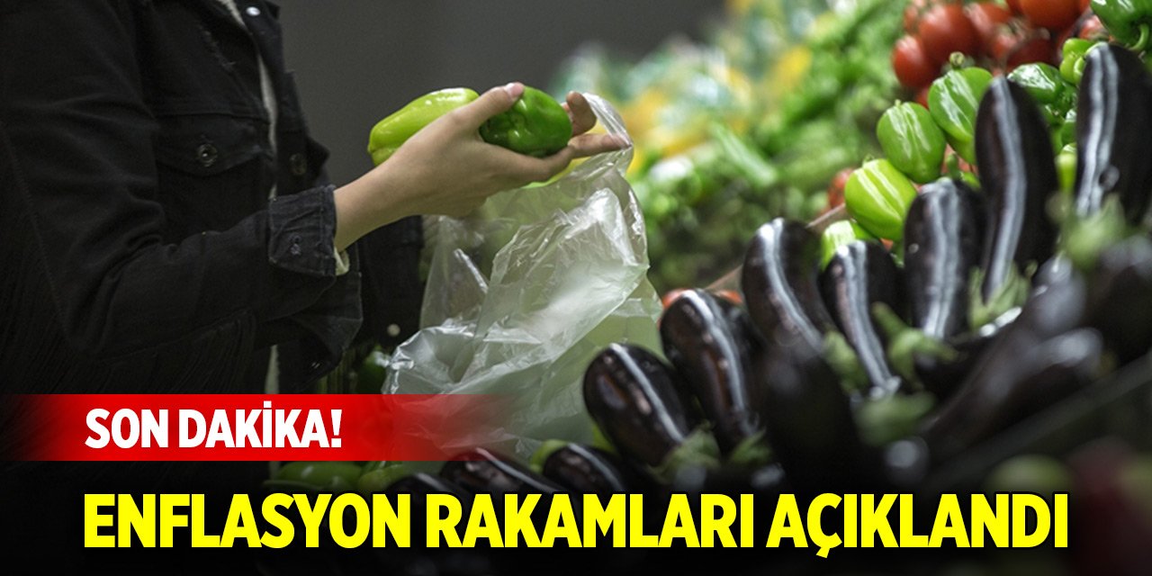 Son Dakika! Enflasyon rakamları açıklandı