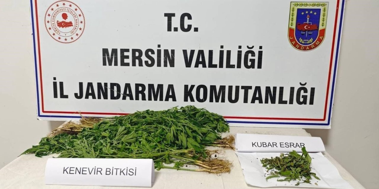 Mersin’de uyuşturucu operasyonu: 6 gözaltı