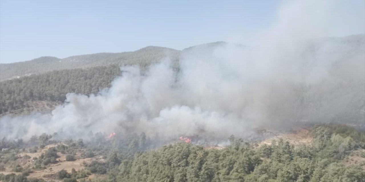 Milas’taki orman yangını devam ediyor