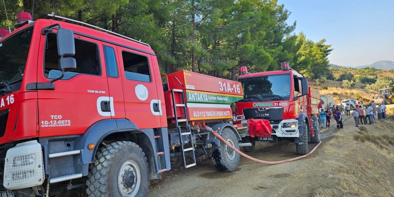 Hatay'da orman yangını; 1,5 saatte kontrol altına alındı