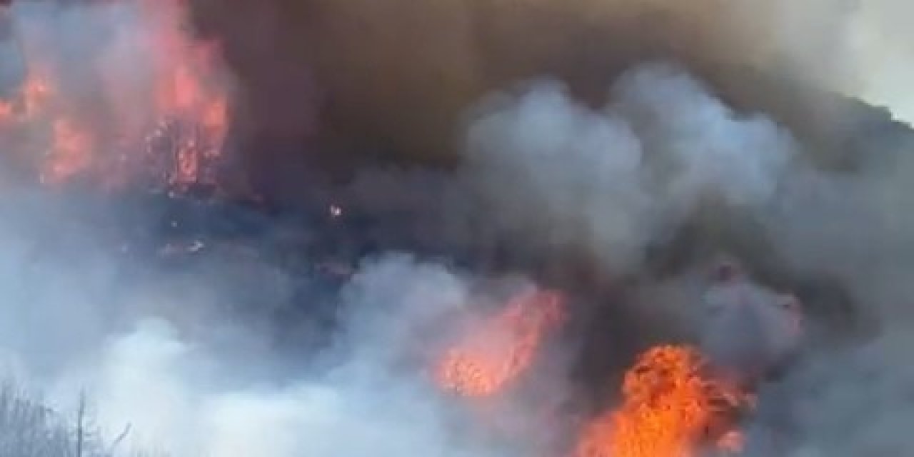 Yangın 8 hektarı küle çevirdi