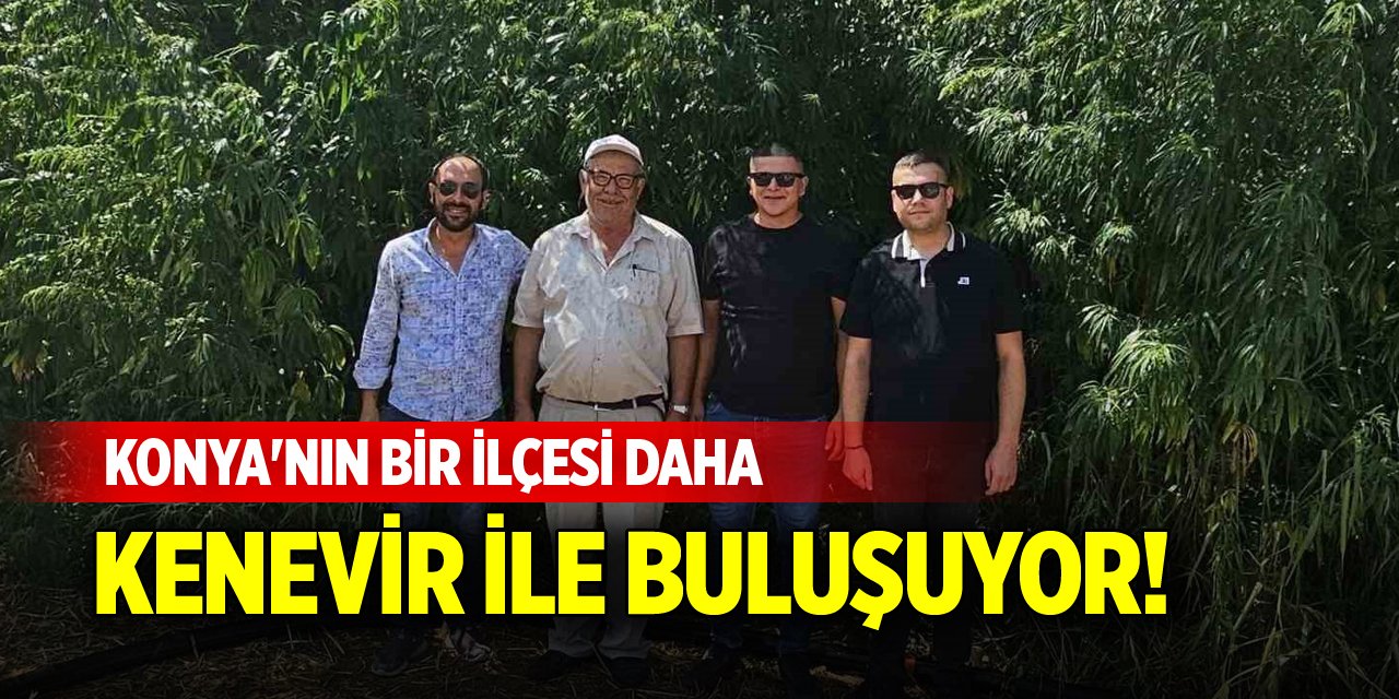 Konya'nın bir ilçesi daha kenevir ile buluşuyor!