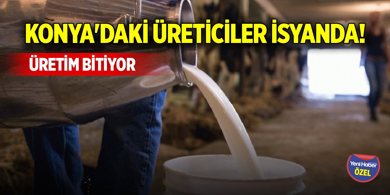 Konya'daki üreticiler isyanda! Üretim bitiyor