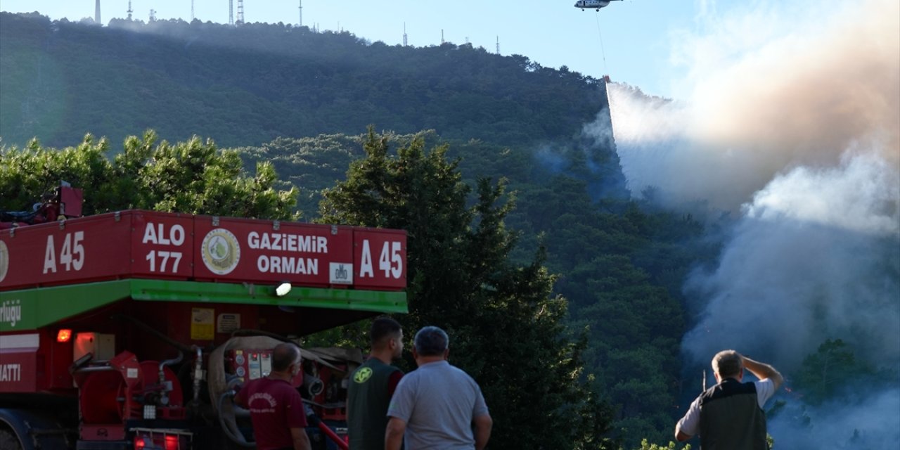 İzmir'deki orman yangınına havadan müdahaleye yeniden başlandı