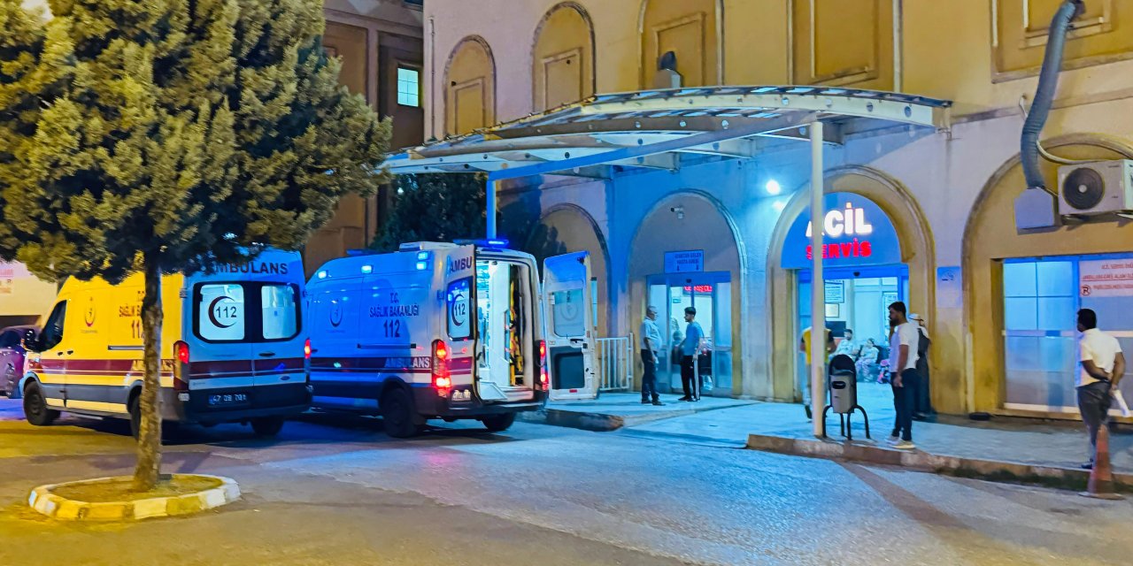 Mardin’de otomobilin çarptığı güvenlik korucusu öldü