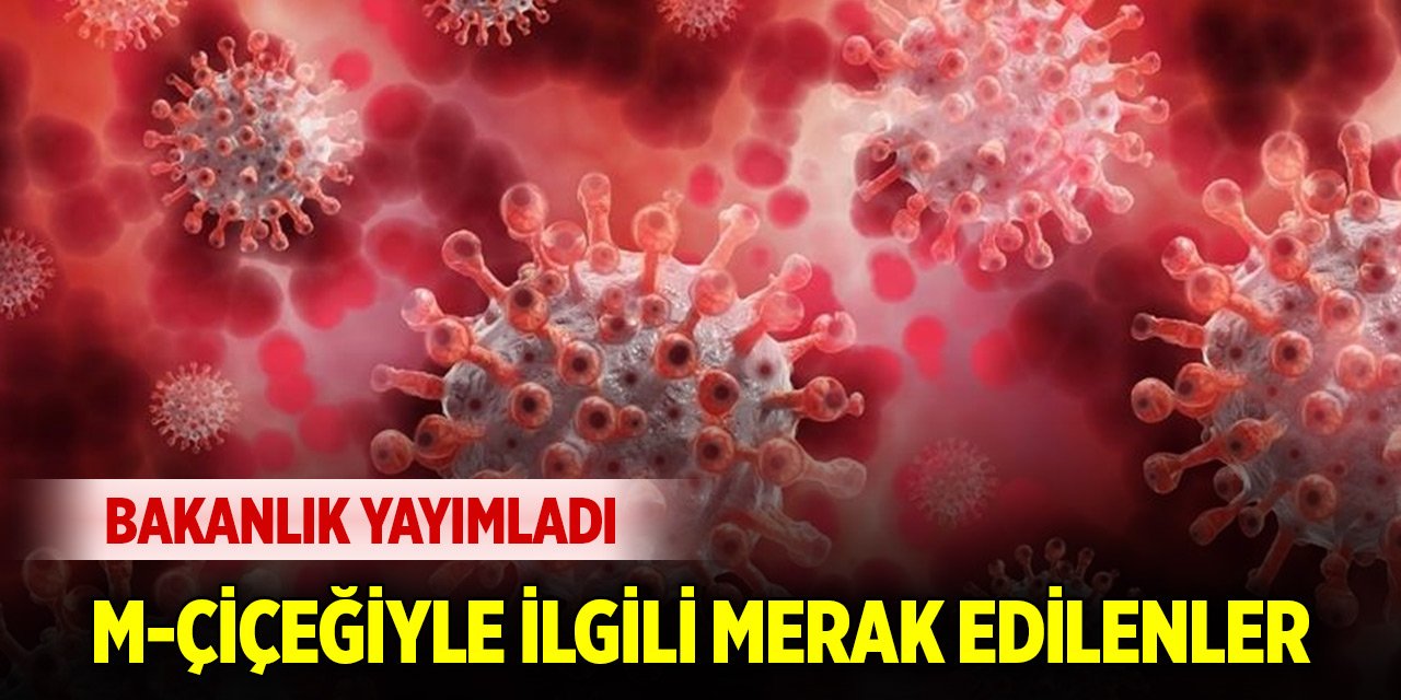 Sağlık Bakanlığı ’maymun çiçeği rehberi’ yayımladı