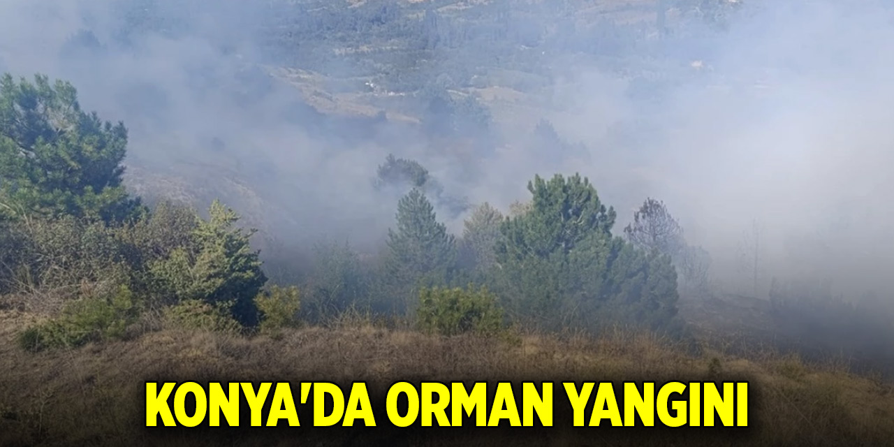 Konya'da orman yangını