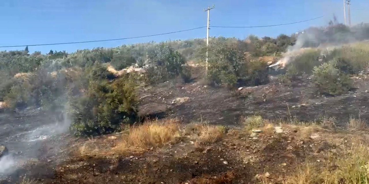 Bursa’da çıkan yangın ormanlık alana sıçramadan söndürüldü