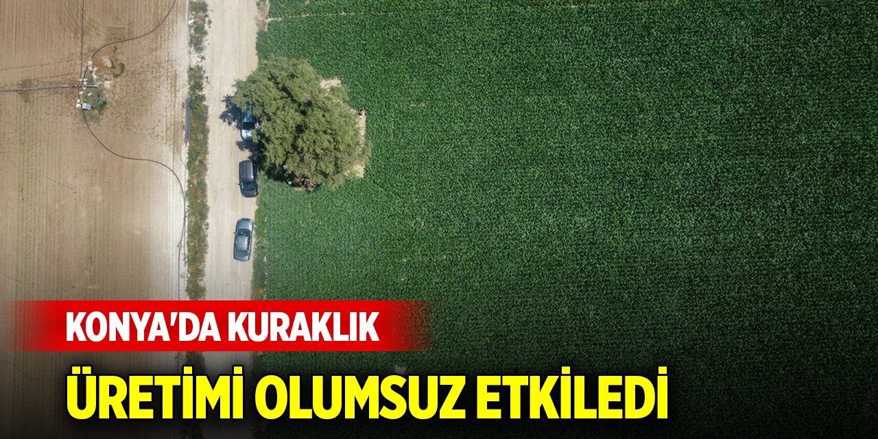 Konya'da kuraklık üretimi olumsuz etkiledi