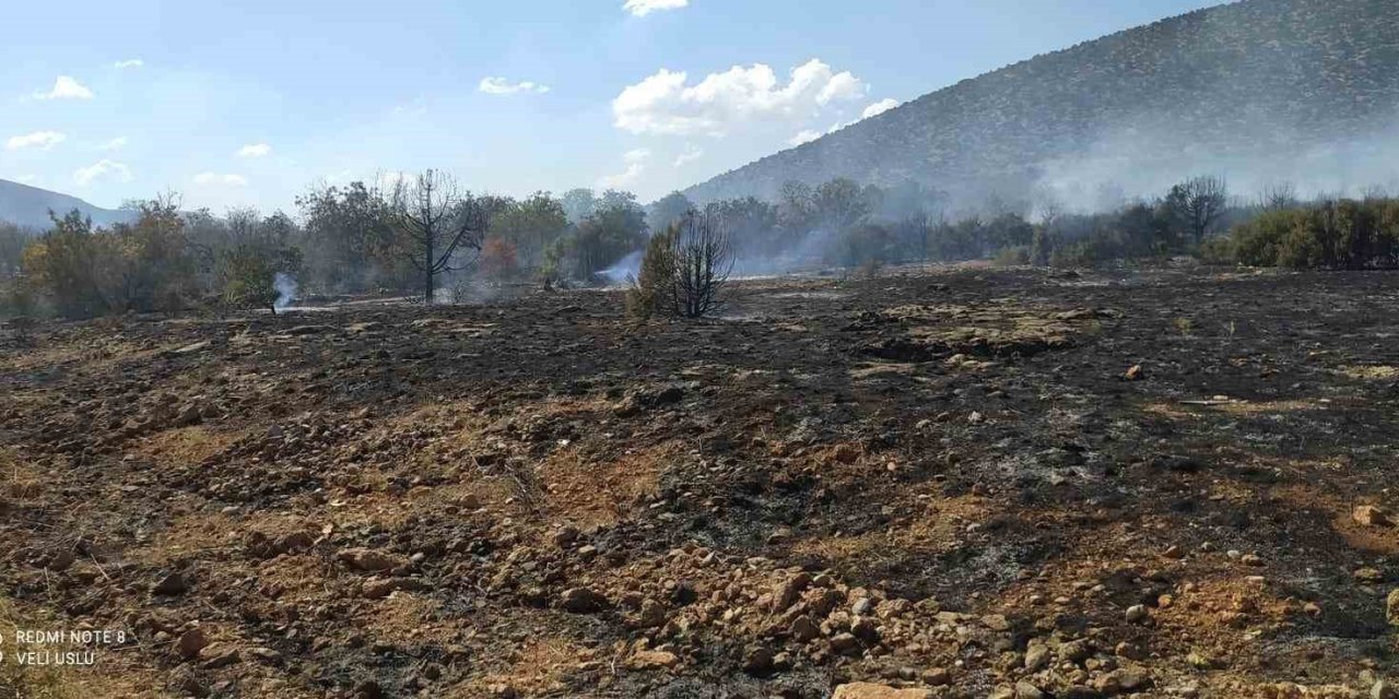 Isparta’da çıkan orman yangını ekiplerin hızlı müdahalesiyle söndürüldü