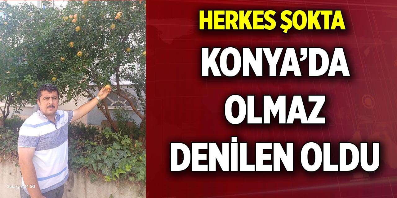 Herkes şokta  Konya’da olmaz denilen oldu