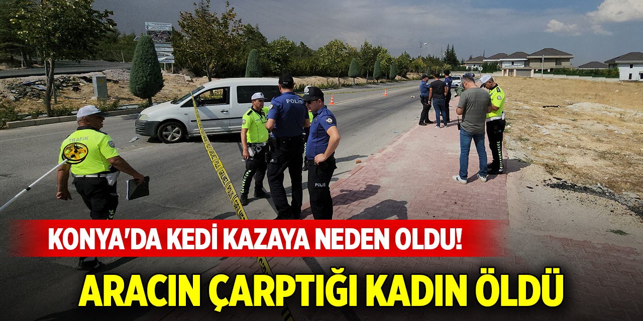 Konya'da kedi kazaya neden oldu! Kadın öldü