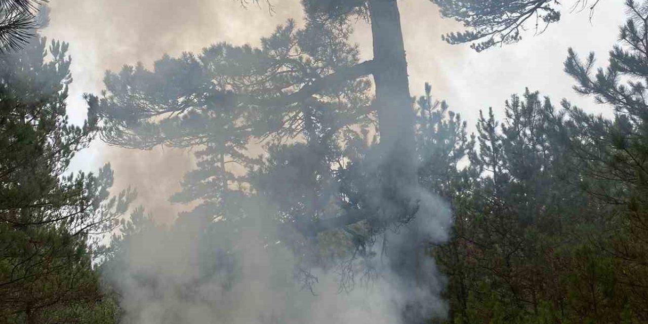 Yıldırımın düştüğü ormanlık alanda yangın çıktı