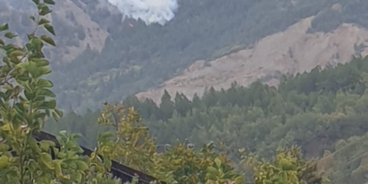 Karabük'te 'yıldırım' düşmesi sonucu çıkan orman yangını söndürüldü