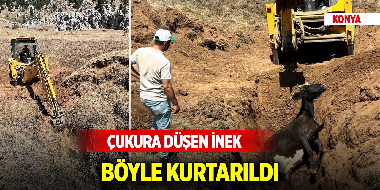 Konya'da çukura düşen inek böyle kurtarıldı