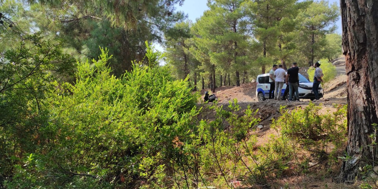 Muğla'da ormanda terk edilmiş bebek bulundu