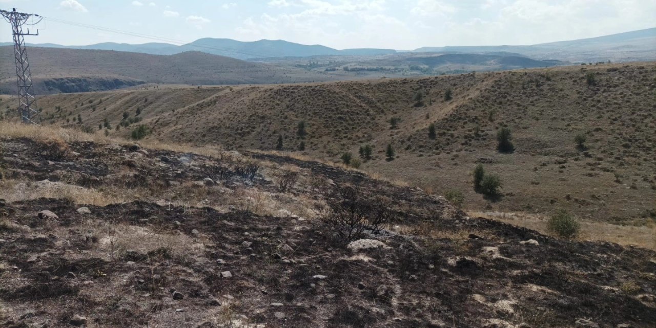 Elektrik trafosunda çıkan yangın araziye sıçradı