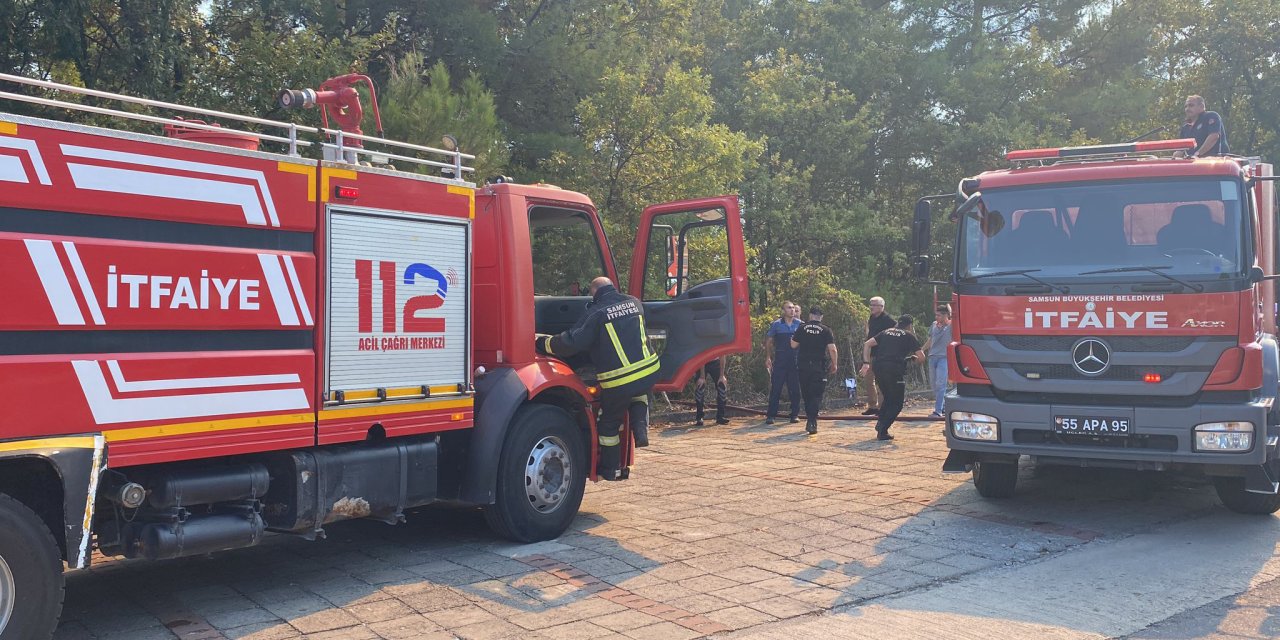 Samsun'da hastane yakınında orman yangını