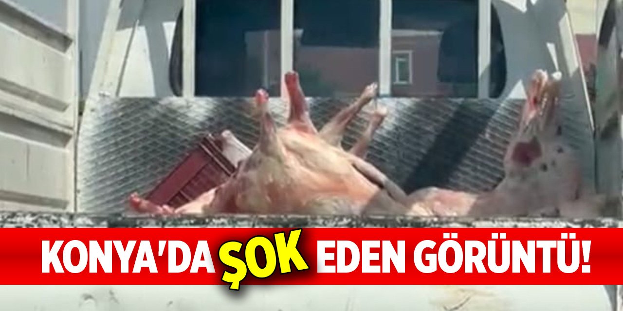 Konya'da şok eden görüntü!