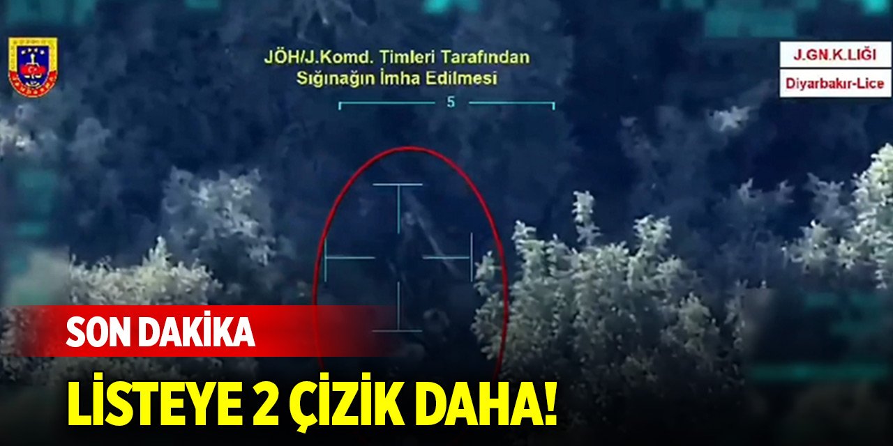 Kırmızı ve gri kategoride aranan 2 terörist etkisiz hale getirildi