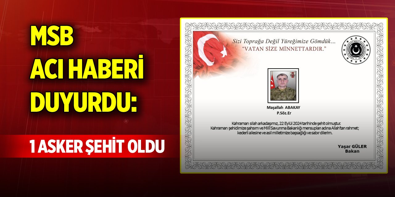 MSB acı haberi duyurdu: 1 asker şehit oldu