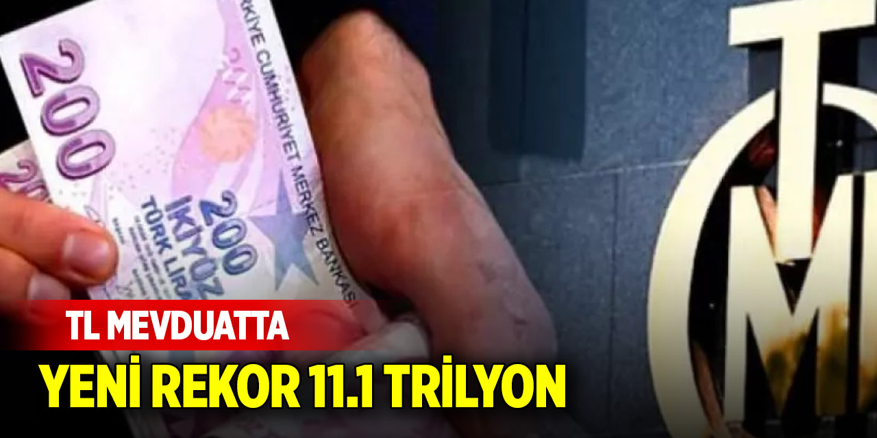 TL mevduatta yeni rekor 11.1 trilyon