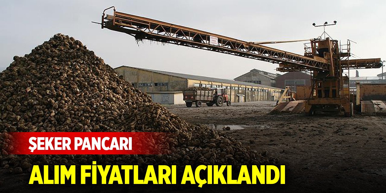 Şeker pancarı alım fiyatları açıklandı