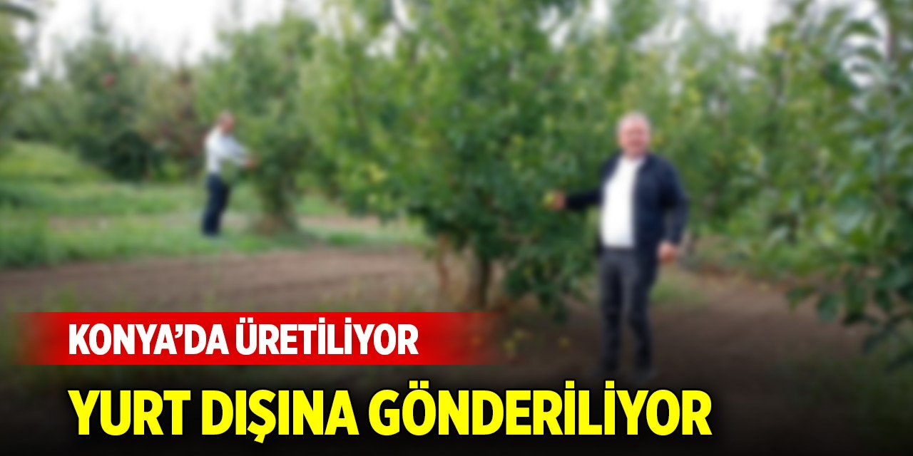 Konya’da üretiliyor, yurt dışına gönderiliyor