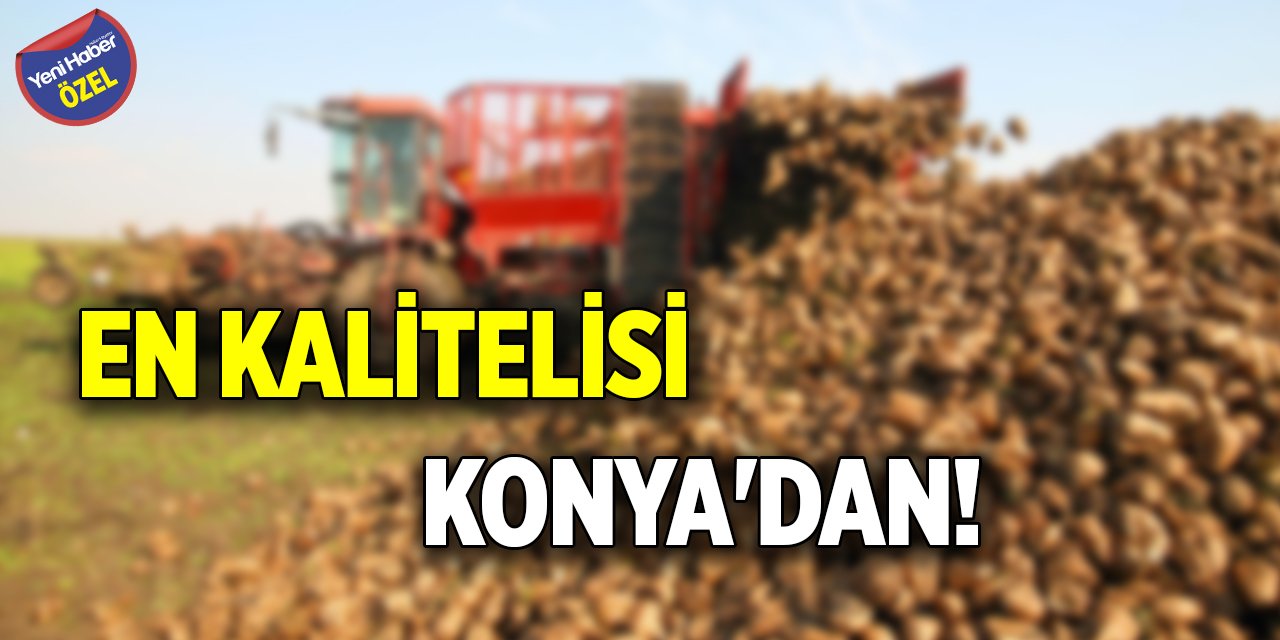 En kalitelisi Konya'dan!