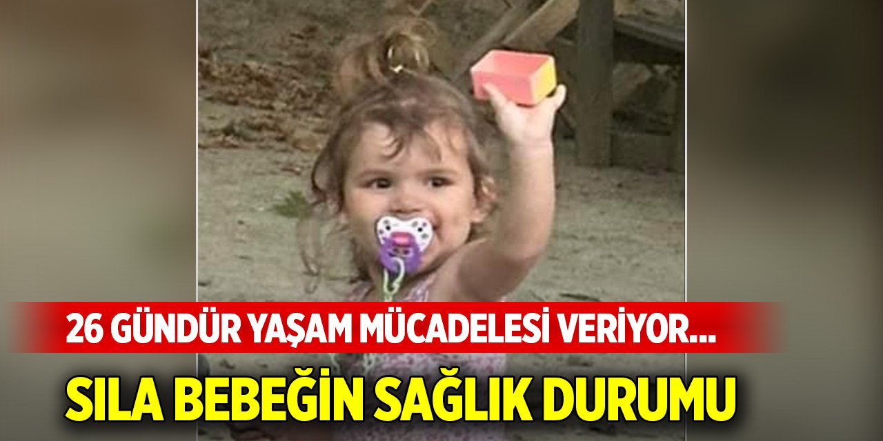 26 gündür yaşam mücadelesi veriyor... Sıla bebeğin sağlık durumu