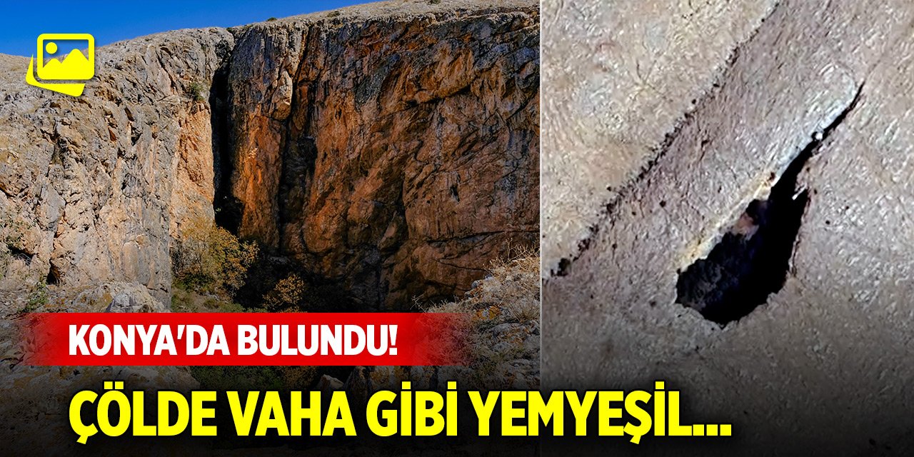 Konya'da bulundu! Çölde vaha gibi yemyeşil...