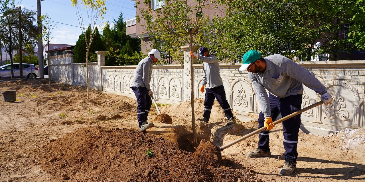 Konya'nın yeşil dokusu güçleniyor