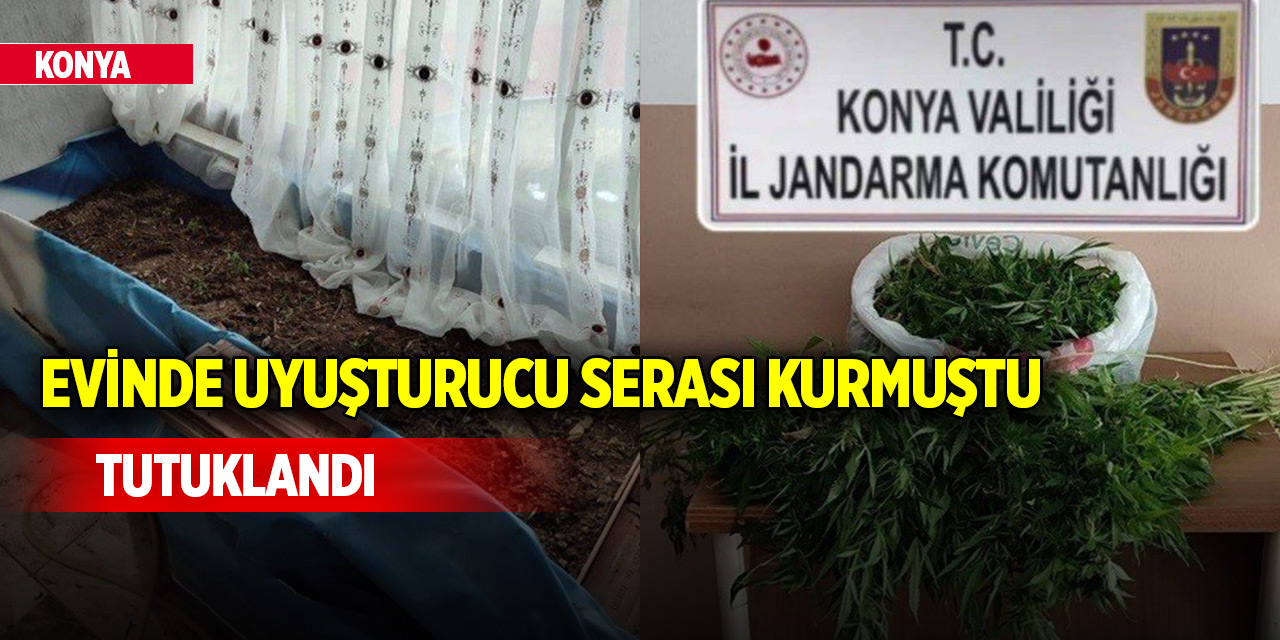 Konya'da evinde uyuşturucu serası oluşturan kişi tutuklandı