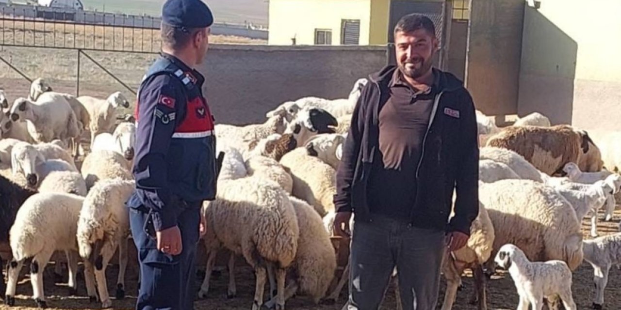 Konya'da kaybolan küçükbaş hayvanlar bakın nasıl bulundu