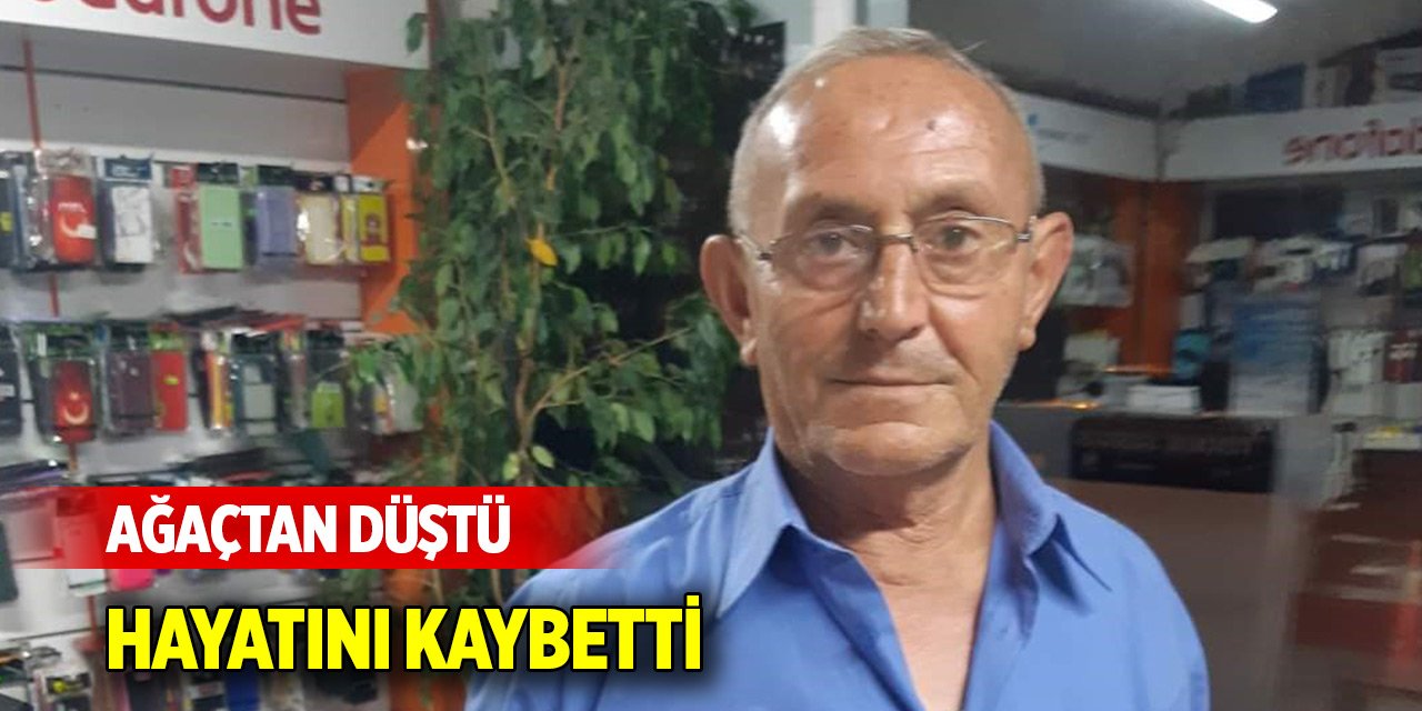 Ceviz ağacından düşen adam hayatını kaybetti