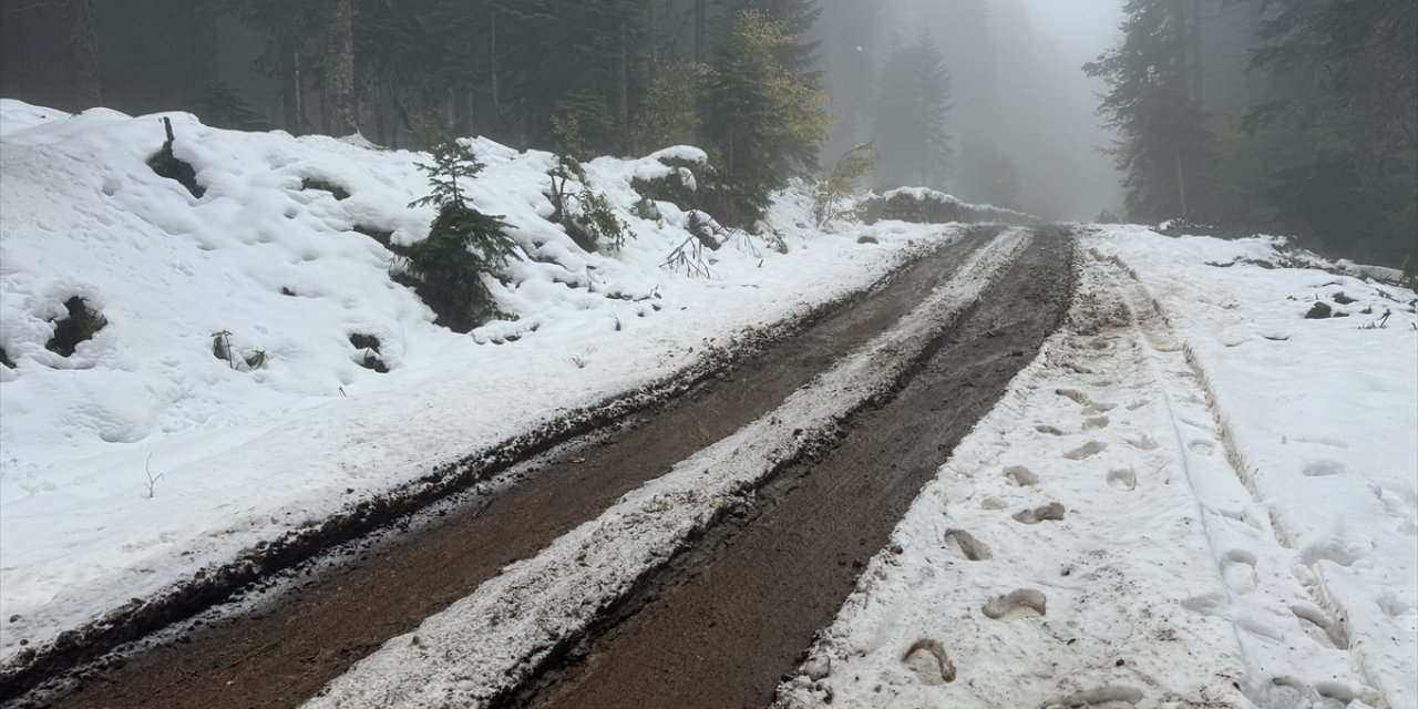 Meteoroloji, hava durumu tahminlerini paylaştı! İşte Kar yağışı beklenen yerler