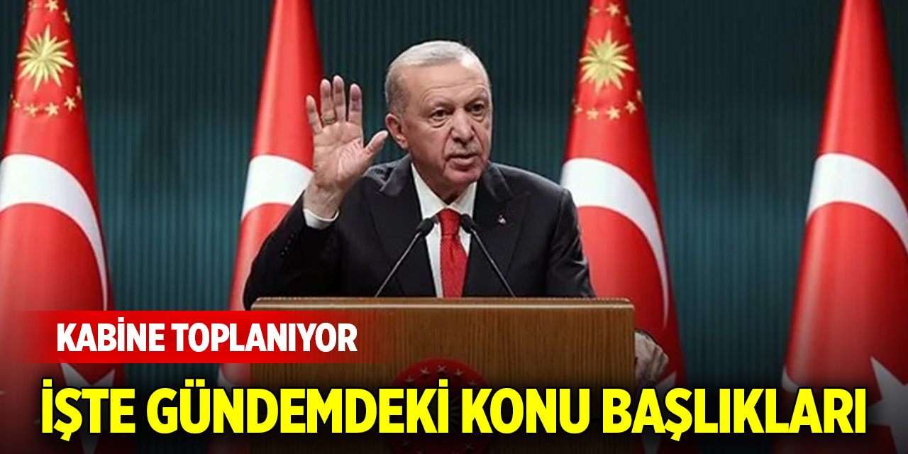 Cumhurbaşkanlığı Kabinesi yarın toplanacak! İşte gündemdeki konu başlıkları